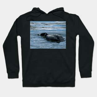 Loon blowing bubbles Hoodie